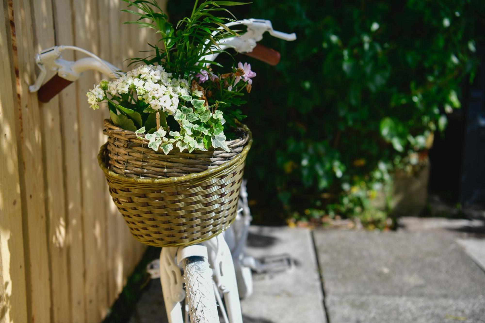 Free Parking - Heart Of The City - Superb Townhouse & Garden - Peaceful Area But Only 5Min Walk To Beach, Shops, Bars, Arena, Marina, Parks Swansea Buitenkant foto